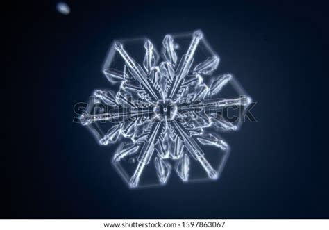Real Snowflake Microscope Shot Stock Photo 1597863067 Shutterstock