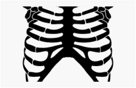 Rib Cage Png Spare Ribs Barbecue Rib Cage Thoracic Skeleton Leave