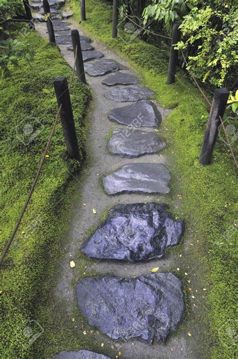 Wet Stone Pathway Between Wooden Fence And Mossy Forest Ground Stone