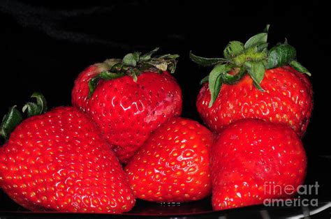 Strawberries Photograph By Paul Ward Fine Art America