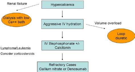Treatment Algorithm For Malignancy Associated Hypercalcemia Iv
