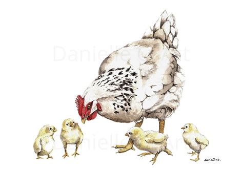 Mother Hen And Chicks Print Watercolour Farm Animal Prints In 2022