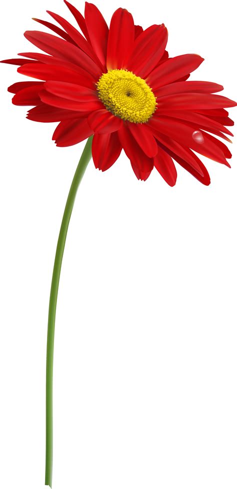 Stem Flower Clip Art With Transparent Background One Red Flower