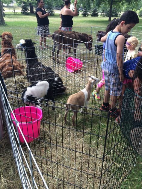 Hire Patricks Funny Farm Petting Zoo In Marshall Wisconsin