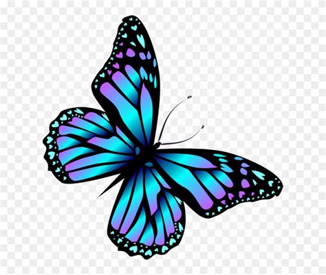 650 X 663 13 Transparent Butterfly Cartoon Clipart 3398599