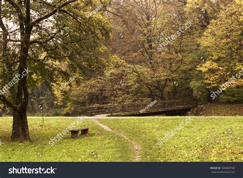 Scene Path Bridge Leading Into Forest Stock Photo 749884768 Shutterstock