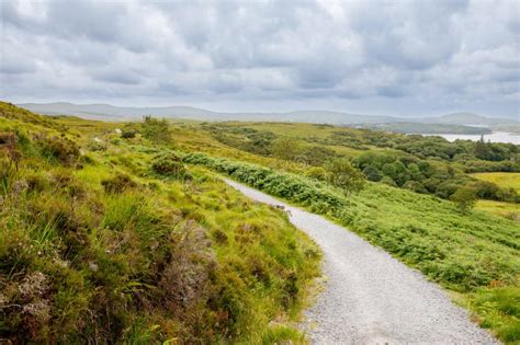 Ireland Landscape Magical Irish Hills Green Island With Sheep And