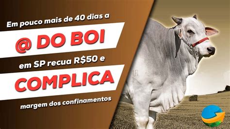 Em Pouco Mais De 40 Dias A Arroba Do Boi Em SP Recua R 50 E Complica