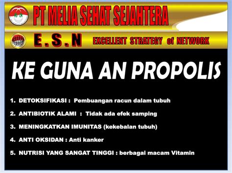 PPT - Presentasi Melia Sehat Sejahtera PowerPoint Presentation, free