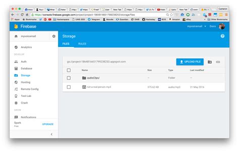 Uploading Files To Firebase Storage Using Rest Api