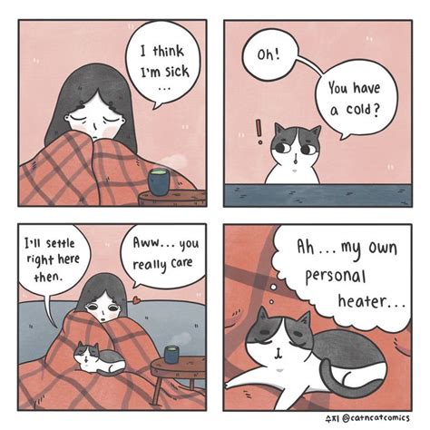 Sick Cat Comics Comics Funny Art