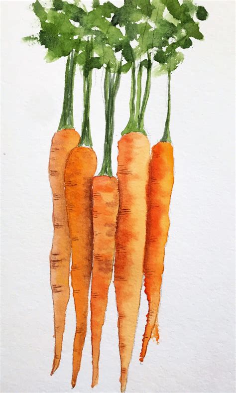 Carrots In Watercolor Franl Watercolor Painting Techniques Watercolor