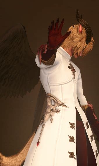 Bloody Angel Eorzea Collection