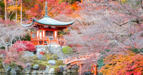 Kyotos Cherry Blossom Temple