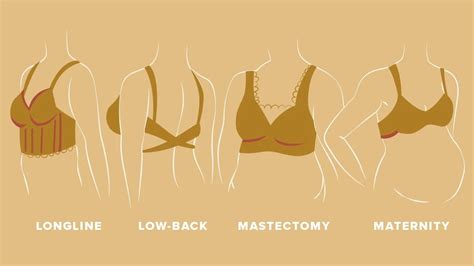 Bra Types For Girl In The Complete Bra Style Guide