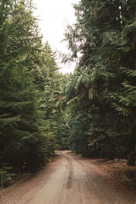 Winding Road In Forest By Stocksy Contributor Justin Mullet Stocksy