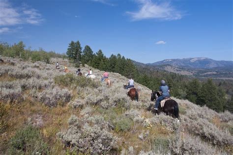 Yellowstone Horseback Riding Trail Rides Yellowstone Outfitters