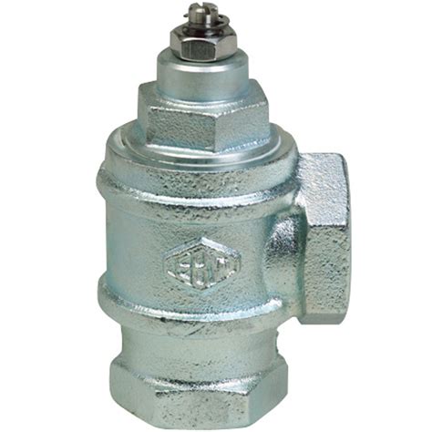 Franklin Fueling Systems 2 In Npt Anti Siphon Valve For Above Ground
