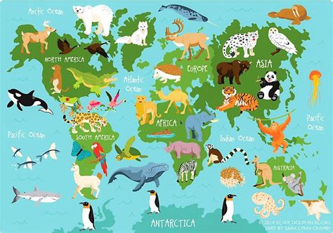 Summer Term Project Animals From Around The World Childrens House
