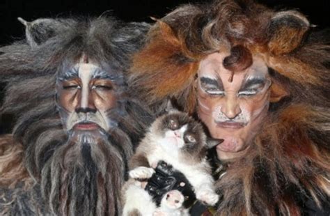 The cast of 2016 broadway revival of the musical cats perform a medley from the show live on good morning america. Grumpy Cat Joins The Cast of CATS For Her Broadway Debut ...