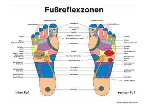 Fußreflexzonenmassage ⇒ Ratgeber And Infografik Fußreflexzonen Fussreflexzonen Massage