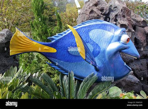 Blue Tang Fish That Played Dory Character In Pixars Finding Nemo Stock