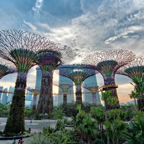 Ticket to the gardens by the bay. Gardens by the Bay Singapore E-Ticket, Book & Pay Online
