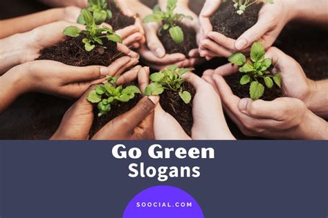 389 Go Green Slogans To Help Save Our Planet Earth Soocial