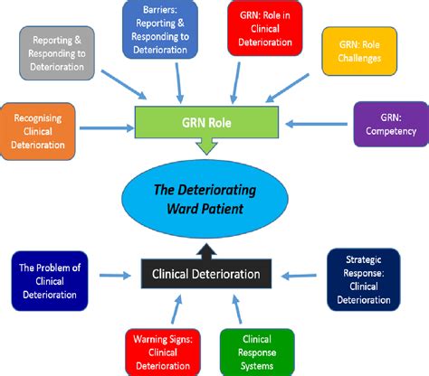 The Identification Of The Role And Competencies Of The Graduate Nurse