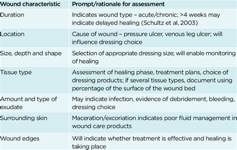 Assessment Chart For Wound Management