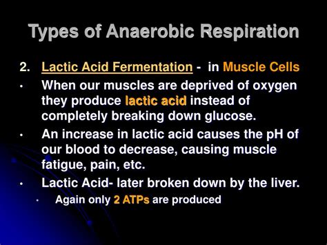 Ppt Cellular Respiration Powerpoint Presentation Free Download Id