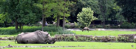 Der zoo augsburg wurde am 12. Slides Only » Ein Spaziergang durch den Augsburger Zoo ...
