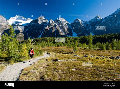 A Female Hiker In Larch Valley Near Moraine Lake In Banff National Park