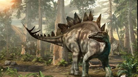 Interesting Facts About Stegosaurus Information About Stegosaurus Youtube
