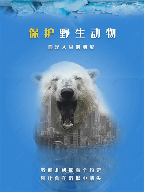 Protect Wildlife Publicity Poster Template Download On Pngtree