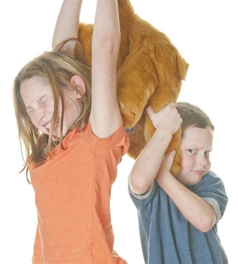 Kids Fighting Over Toy Stock Image Image Of Stuffed 17751205