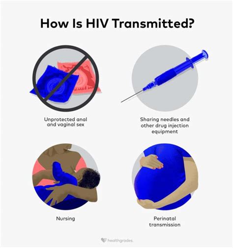 How Is Hiv Transmitted Prevention And Risk Factors