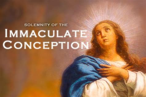 Solemnity Of The Immaculate Conception Of The Blessed Virgin Mary Church Of The Little Flower