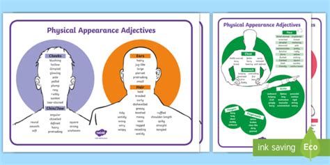 Physical Appearance Adjectives Word Mats