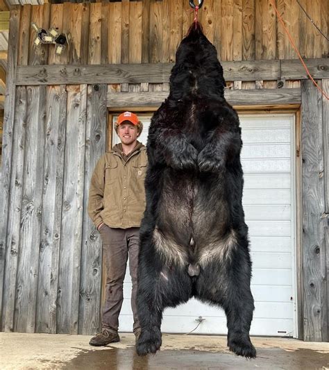 Photos Hunter Harvests Record Breaking Black Bear Meateater Conservation