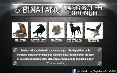 Mohon dijawab, agar kalau ada orang yang non muslim tanya, saya bisa menjelaskan. HIJRAH INSAN: 5 binatang yang boleh dibunuh