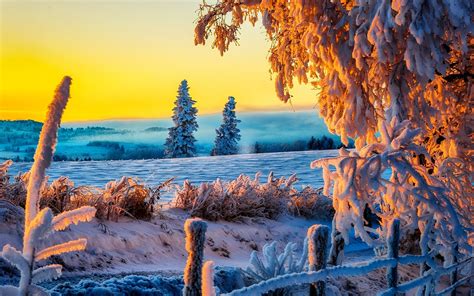 Free Download Beautiful Winter Sunrise 4k Ultra Hd