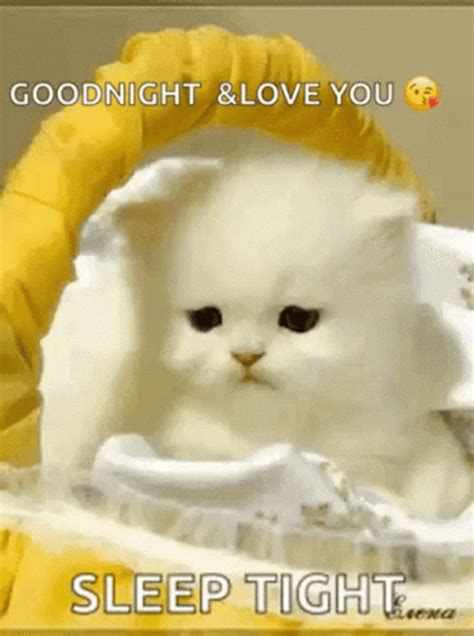 Good Night Sleep Tight Love You Blinking Cat 
