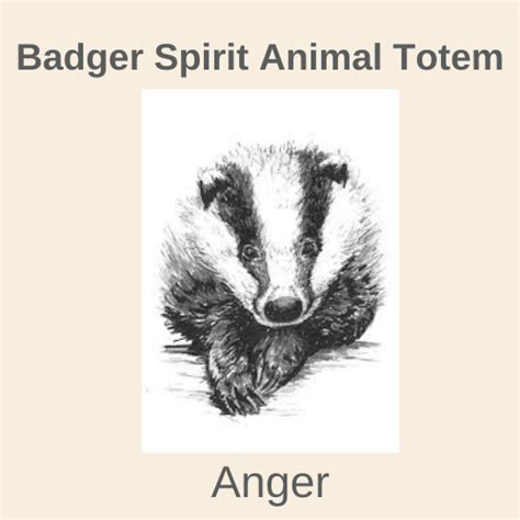 Badger Spirit Animal Totem Meaning Online Power Animal Life Guidance