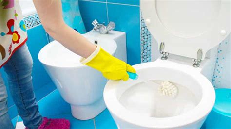 Causes Of Foamy Urine And When To Seek Help