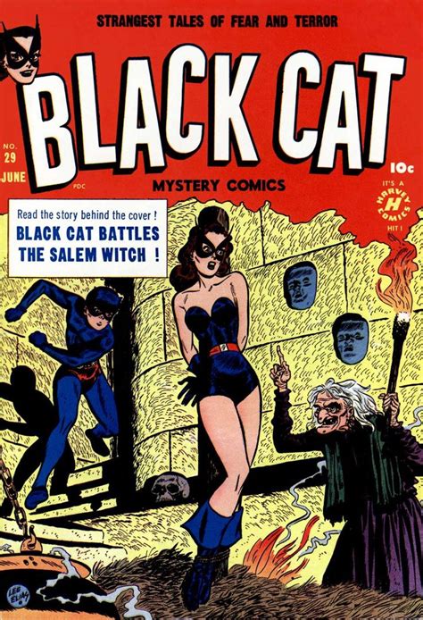 Comic Book Cover For Black Cat 29 Black Cat Comics Comics Comic Collection