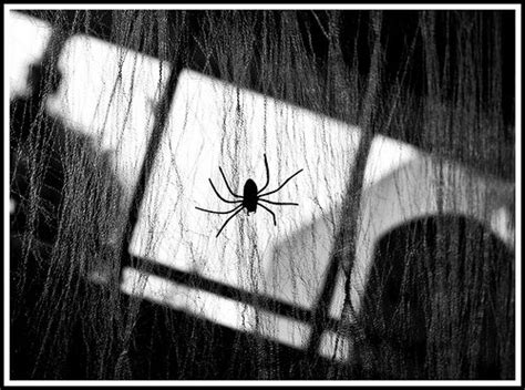 25 Spooky And Creepy Black And White Photos Creepy Photography Black