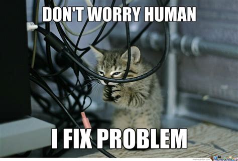 Repairs And Chores 15 Memes Prove Cats Work Hard For The House