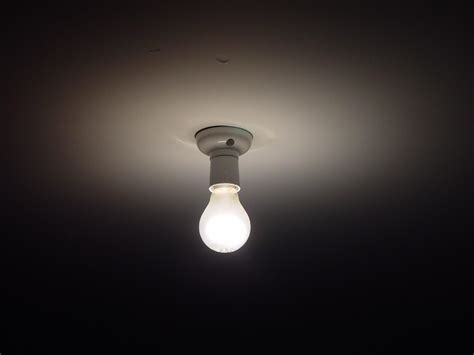 Filelight Bulb Wikimedia Commons
