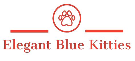Health And Guarantee Russian Blue Kitten Breeder